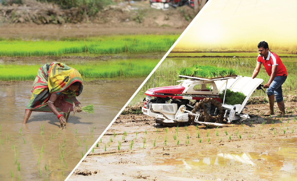 Comparative Analysis: Manual Transplanting vs. Rice Transplanting Machines